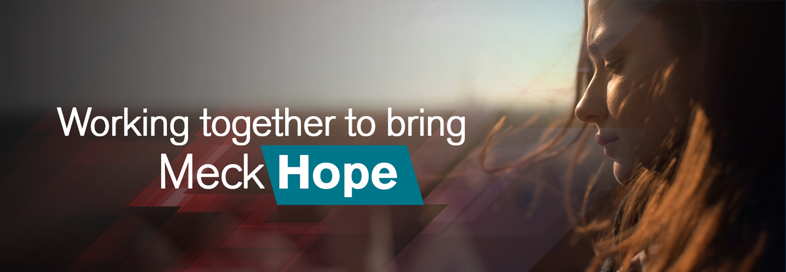 Header for MeckHope with tagline, Working together to bring MeckHope and a photo of a sad woman.