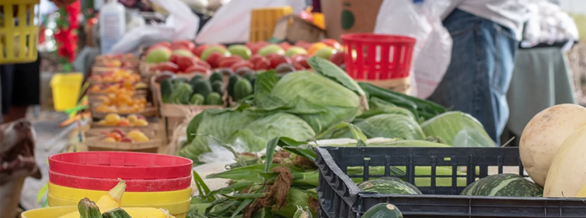 shopping-fruits-vegetables shopping-fruits-vegetables